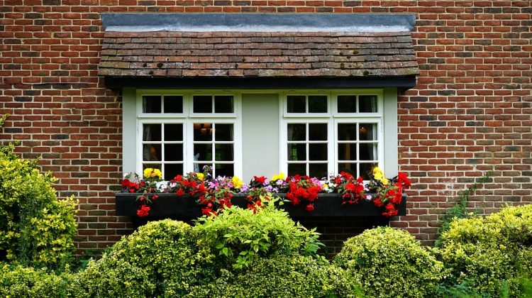 Types of Windows You Can Install to Your New House