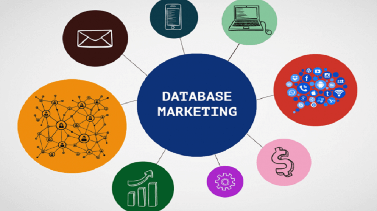 Top 5 Benefits of Having a Sales and Marketing Database