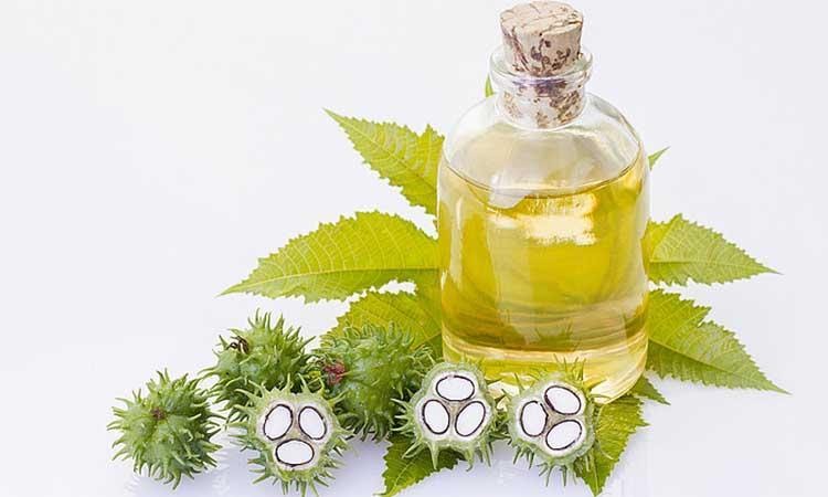 Castor Oil For Relief From Pain