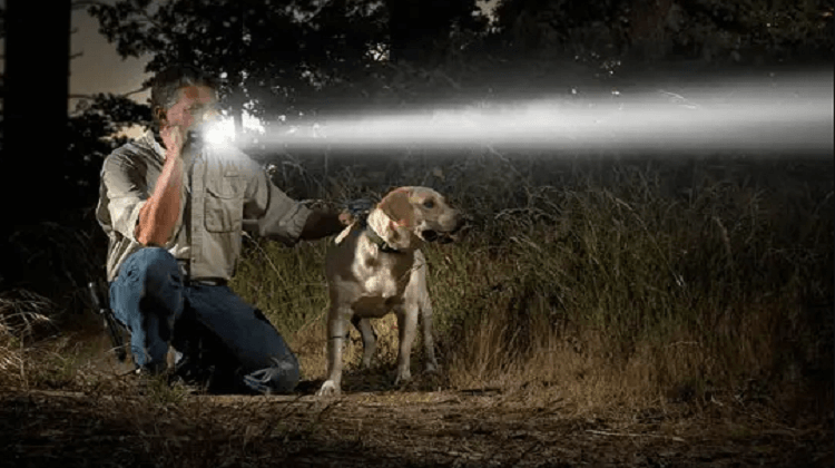 How to use a tactical flashlight