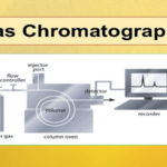 Gas Chromatography