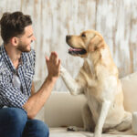 6 Easy Tricks To Reduce Pet Dander In Your Home