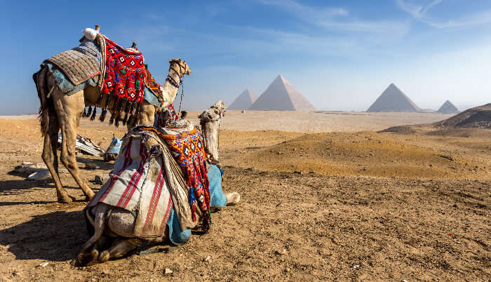 12 Fun Things To Do in Egypt On Your First Date