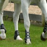 Practical Tips to Buy The Open Front Jumping Boots For The Horses