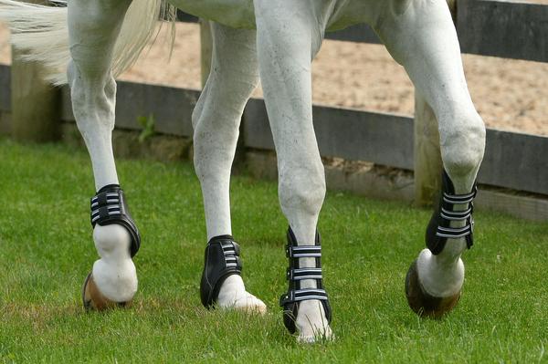 Practical Tips to Buy The Open Front Jumping Boots For The Horses