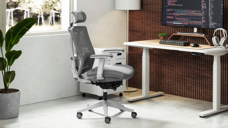 Let’s look at Some Ergonomic office accessories and their Benefits