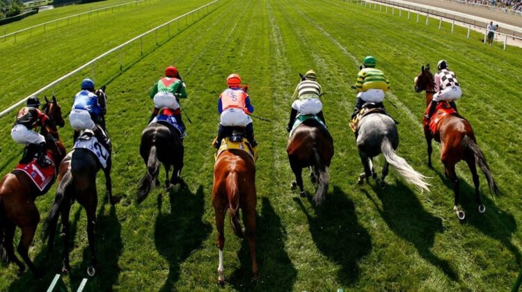 Tips for Winning in Betting at Horse Racing