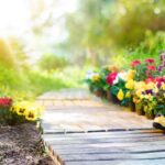 Blooming with Confidence: Beginner-Friendly Flowers to Kickstart Your Garden Journey